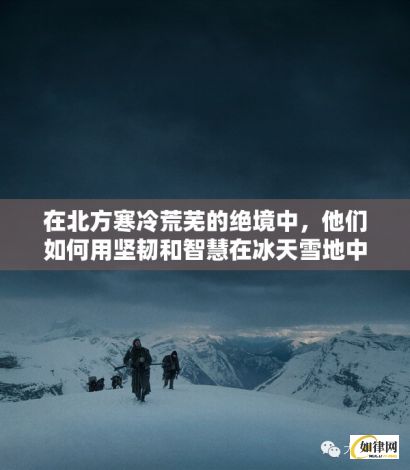 在北方寒冷荒芜的绝境中，他们如何用坚韧和智慧在冰天雪地中求生存？